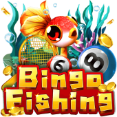 ao8814 Câu Cá Bingo